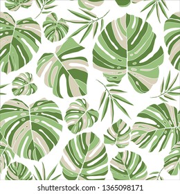 Tropical green monstera leaves seamless pattern white background. Exotic floral wallpaper. Jungle plants - Vector.