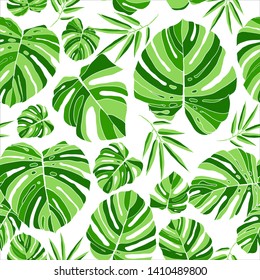 Tropical green monstera leaves seamless pattern white background. Exotic floral wallpaper. Jungle plants - Vector.