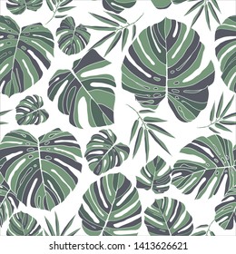 Tropical green monstera leaves seamless pattern white background. Exotic floral wallpaper. Jungle plants - Vector.