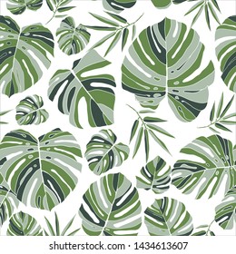 Tropical green monstera leaves seamless pattern white background. Exotic floral wallpaper. Jungle plants - Vector.