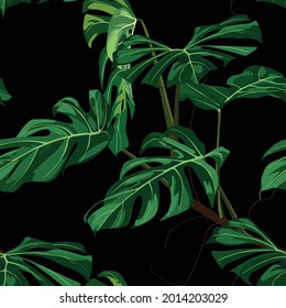 Tropical green monstera palm leaves background. Seamless pattern. Graphic illustration. Exotic jungle plants. Summer beach floral design. Paradise nature.
