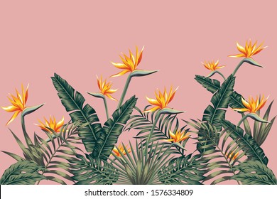 Tropical green palm banana monstera leaves with beautiful flowers bird of paradise, Strelitzia. Realistic vector jungle illustration beach pink background. Print pattern decorative ornament wallpaper.