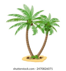 Tropical green palm. Jungle leaves. Coconut palm, monstera, fan palm, rhapis. Natural leaf, exotic branches tree. Vector illustration in flat style