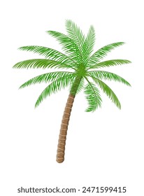 Tropical green palm. Jungle leaves. Coconut palm, monstera, fan palm, rhapis. Natural leaf, exotic branches tree. Vector illustration in flat style