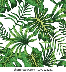 Tropical green palm leaves floral seamless pattern white background. Exotic wallpaper