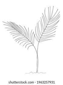 Tropical  green palm leaves  line continuous. Minimalist art. One line drawing. Continuous line drawing. Vector illustration,vector illustration for t-shirt ,printing.