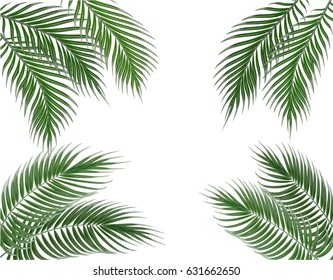 Tropical green palm leaves on four sides. Set. Isolated on white background. Vector illustration