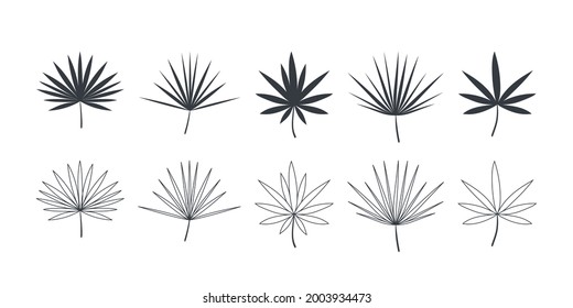 Tropical green palm leaves. Set of leaves icons linear and flat style. Vector illustration