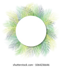 Tropical green palm leaves with white round frame place for text isolated on white background