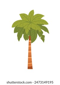 Tropical green palm tree with leaves simple cartoon design vector illustration isolated on white background