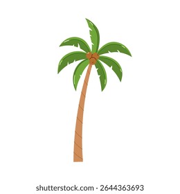 Tropical green palm tree with leaves flat cartoon illustration