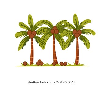 Tropical green palm trees with leaves and coconuts simple cartoon design vector illustration isolated on a white background