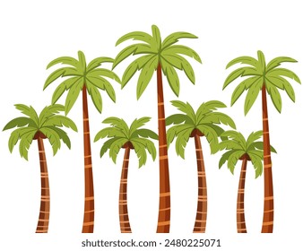 Tropical green palm trees with leaves and coconuts simple cartoon design vector illustration isolated on a white background