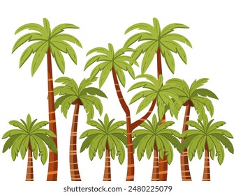 Tropical green palm trees with leaves and coconuts simple cartoon design vector illustration isolated on a white background