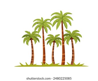 Tropical green palm trees with leaves and coconuts simple cartoon design vector illustration isolated on a white background