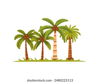 Tropical green palm trees with leaves and coconuts simple cartoon design vector illustration isolated on a white background