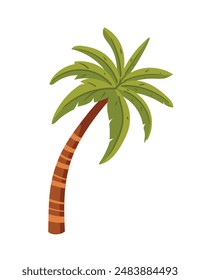 Tropical green palm trees with leaves simple cartoon design vector illustration