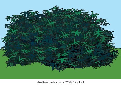 Tropical Green Shrub - Colored Cartoon Illustration with Background, Vector