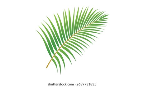 tropical green vector palm tree leaf