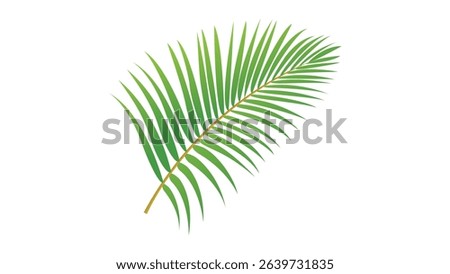 tropical green vector palm tree leaf