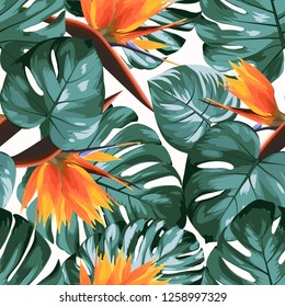 Tropical greenery philodendron monstera jungle rainforest tree leaves. Bright orange strelitzia bird of paradise flowers. Exotic seamless pattern white background. Vector design illustration.