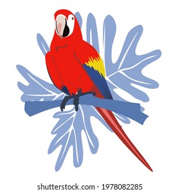 Tropical hand drawn colorful ara parrott with leaf background. Macaw parrot. Vector illustration isolated on white background.