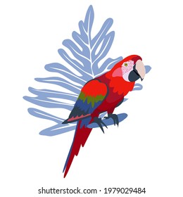 Tropical hand drawn colorful ara parrott with leaf background. Macaw parrot. Vector illustration isolated on white background.