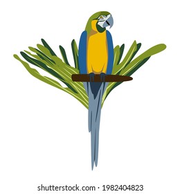 Tropical hand drawn colorful ara parrott with leaf background. Macaw parrot. Vector illustration isolated on white background.