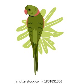 Tropical hand drawn colorful parrott with leaf background. Necklace parrot green plums red beak. Vector illustration isolated on white background.