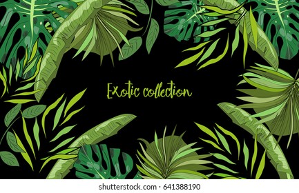 Tropical hand drawn exotic collection background with leaves.
