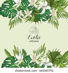 Tropical hand drawn exotic collection background with leaves and flowers.