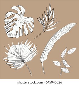 Tropical hand drawn exotic collection set with leaves in sketch style.