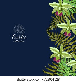 Tropical hand drawn exotic collection background with leaves and flowers. Package design.