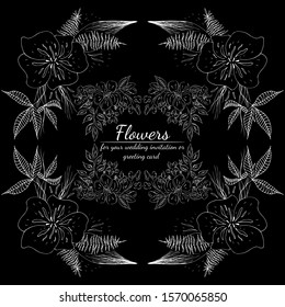 Tropical hand drawn floral frames. Outline set. Jungle foliage illustration. Floral set. Hand drawing. Vector isolated collection. Natural spring wedding card. Summer tropical leaf. Botanical frames