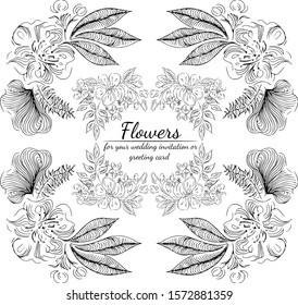 Tropical hand drawn floral frames. Outline set. Jungle foliage illustration. Floral set. Hand drawing. Vector isolated collection. Natural spring wedding card. Summer tropical leaf. Botanical frames