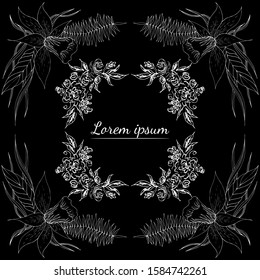 Tropical hand drawn floral frames. Outline set. Jungle foliage illustration. Floral set. Hand drawing. Vector isolated collection. Natural spring wedding card. Summer tropical leaf. Botanical frames