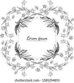 Tropical hand drawn floral frames. Outline set. Jungle foliage illustration. Floral set. Hand drawing. Vector isolated collection. Natural spring wedding card. Summer tropical leaf. Botanical frames
