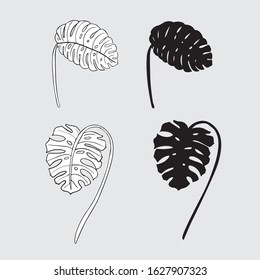 Tropical hand drawn monstera leaves set. Isolated monstera template for tropical backgrounds and patterns. Jungle forest
