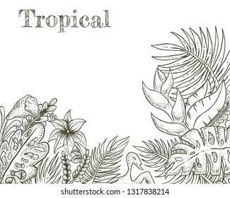 tropical hand drawn vector illustration