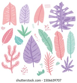 Tropical hand drawn vector plants. Botanical isolated design elements. Banana, monstera, palm.