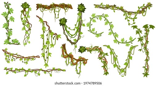 Tropical Hanging Vines. Jungle Liana Climbing Plants, Wild Rainforest Vines Branches With Leaves Isolated Vector Illustration Set. Liana Exotic Branches Foliage To Limbing, Branch Rainforest Greenery