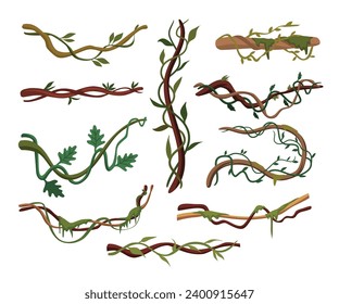 Tropical hanging vines, Liana or vine climbing winding branches cartoon vector illustration, wild rainforest vines branches with leaves