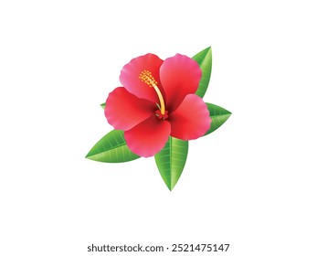 Tropical Hawaii Flower Bouquet Vector. Exotic Plants in Simple Flat Style for Summer Print Design
Tropical Hawaii Flower Bouquet Vector with Exotic Plants, Simple Flat Style Illustration for Summer