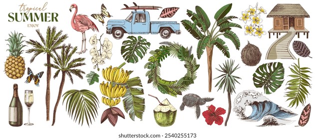 Tropical Hawaii vector super set