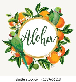 Tropical Hawaiian flyer with oranges and parrots. Round frame. Template design. Vector illustration.