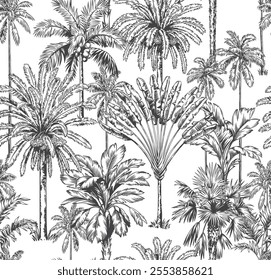 Tropical Hawaiian seamless pattern with palm trees.Botanical foliage monochrome background.Linear style.Vector illustration.Black and white sketch.Design for wallpaper, textile and wrapping paper.