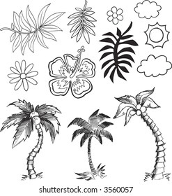 Tropical Hawaiian Vector Illustration