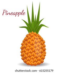 Tropical healthy tasty, sweet fruit. Reallistic vector of pineapple. Organic fresh gourmet pineapple.