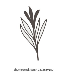 tropical heliconia exotic plant icon vector illustration design