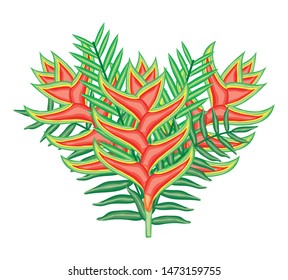 tropical heliconias flowers and leafs plants